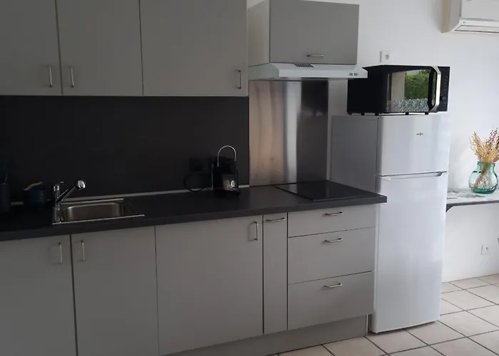 L Orangerie Appartement Cannes-Écluse